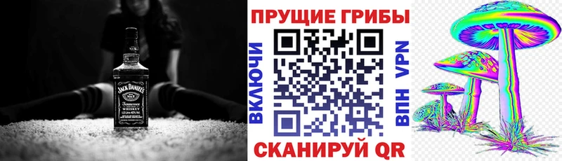 Галлюциногенные грибы прущие грибы  Родники 